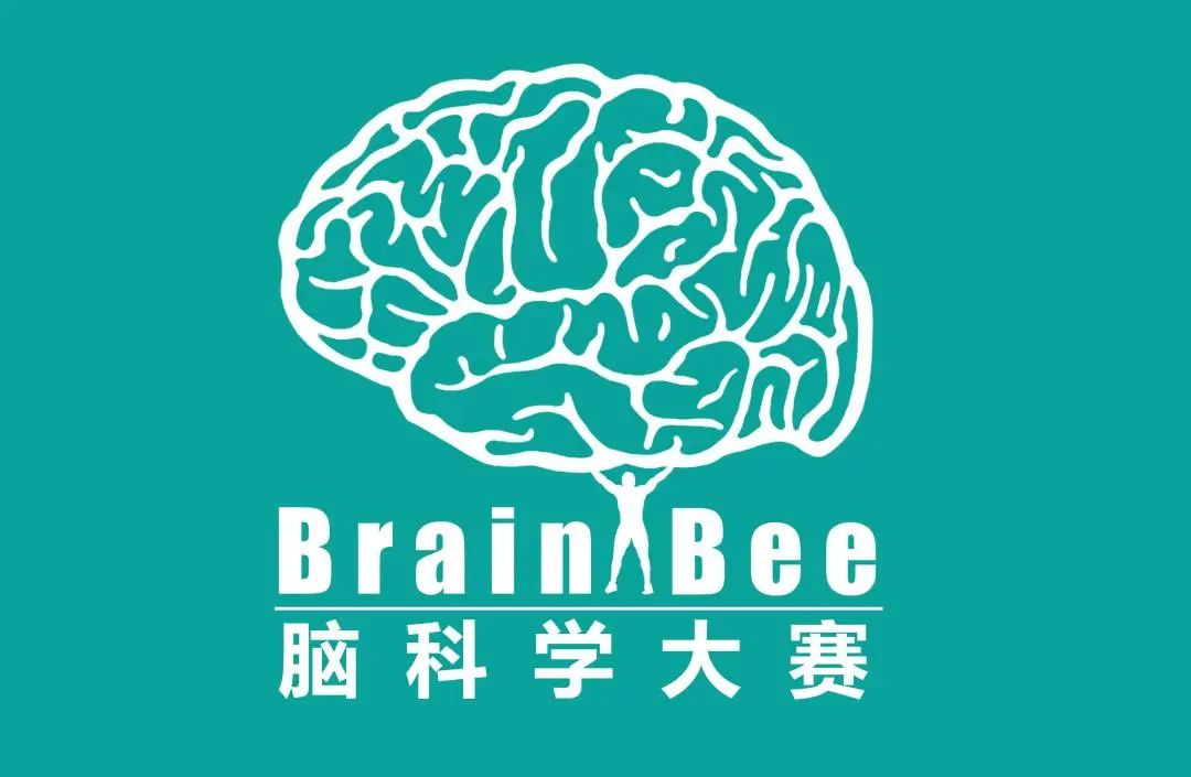 Brain Bee脑科学大赛报名中！Brain Bee竞