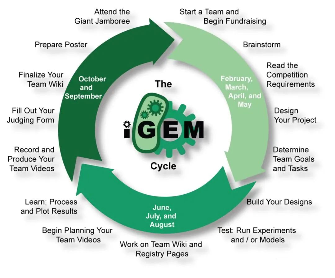 谁懂啊！原来iGEM竞赛含金量这么高！iGEM竞赛时间/适合学生详解