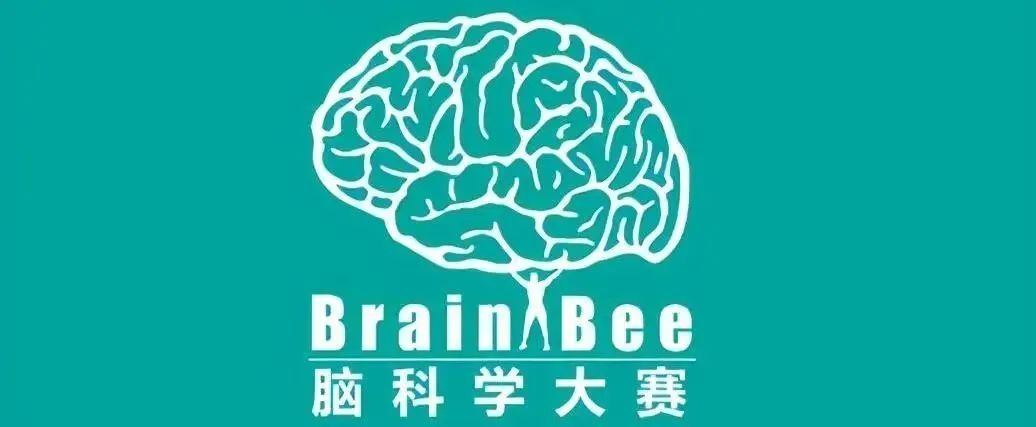 Brain Bee​时间安排、奖项设置、含金量一文说清！