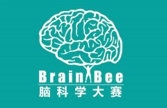 BrainBee竞赛个人报名通道已开启！Br