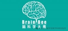 干货|必读！Brain Bee竞赛详情介绍！