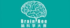 brain bee竞赛的优势在哪里？如何备考