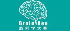 brain bee脑科学大赛考试时间是？几年