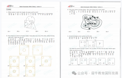 为什么推荐1-4年级学生都去参加袋鼠