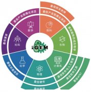 爬藤er都在参加的：iGEM国际基因工程机器大赛，竞赛奖项设置！